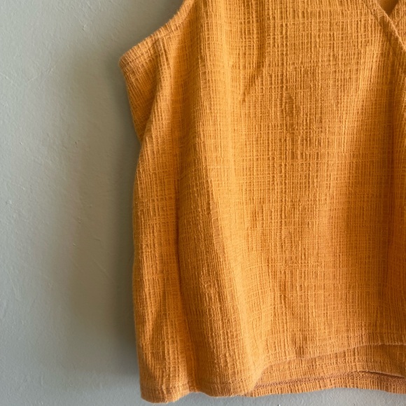 Madewell Mustard Yellow Tie Knit Vest - Picture 4 of 6